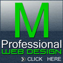 Professional Web Design